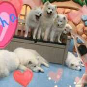 ヒメ日記 2025/10/14 18:42 投稿 篠咲いろは 大人のエッチなエステ