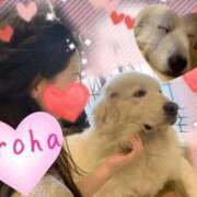 ヒメ日記 2025/10/17 20:11 投稿 篠咲いろは 大人のエッチなエステ