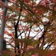 ヒメ日記 2025/11/14 12:45 投稿 篠咲いろは 大人のエッチなエステ