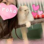 ヒメ日記 2025/11/22 09:14 投稿 篠咲いろは 大人のエッチなエステ