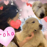 ヒメ日記 2026/01/29 21:46 投稿 篠咲いろは 大人のエッチなエステ