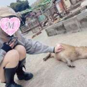 ヒメ日記 2025/05/25 11:53 投稿 みひろ 奥様はエンジェル　八王子店