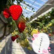 ヒメ日記 2026/02/14 13:55 投稿 みひろ 奥様はエンジェル　八王子店