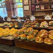 ヒメ日記 2025/02/01 17:09 投稿 きょうか ドマーニ