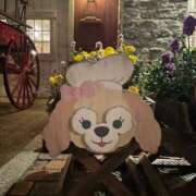 ヒメ日記 2025/02/04 01:45 投稿 きょうか ドマーニ