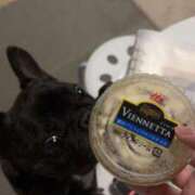 ヒメ日記 2025/02/20 19:58 投稿 きょうか ドマーニ