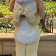 ヒメ日記 2025/03/29 13:50 投稿 きょうか ドマーニ