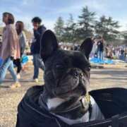 ヒメ日記 2025/03/30 17:32 投稿 きょうか ドマーニ