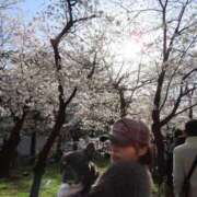 ヒメ日記 2025/04/01 13:54 投稿 きょうか ドマーニ