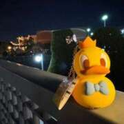 ヒメ日記 2025/04/18 15:38 投稿 きょうか ドマーニ