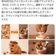 ヒメ日記 2025/04/24 09:18 投稿 きょうか ドマーニ