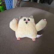 ヒメ日記 2025/05/15 17:41 投稿 きょうか ドマーニ