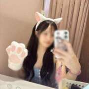 ヒメ日記 2025/06/23 03:08 投稿 きょうか ドマーニ