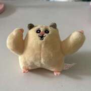 ヒメ日記 2025/06/25 20:46 投稿 きょうか ドマーニ