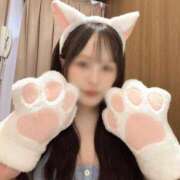 ヒメ日記 2025/06/28 14:10 投稿 きょうか ドマーニ