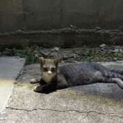 ヒメ日記 2025/08/02 17:39 投稿 きょうか ドマーニ