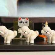 ヒメ日記 2025/10/30 00:59 投稿 きょうか ドマーニ