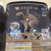 ヒメ日記 2025/10/30 15:02 投稿 きょうか ドマーニ