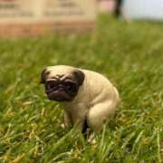 ヒメ日記 2025/11/22 15:34 投稿 きょうか ドマーニ