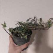 みおか こんにちは〜！ 奥様はエンジェル　八王子店