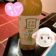 ヒメ日記 2025/04/09 18:45 投稿 はる 人妻倶楽部内緒の関係 春日部店