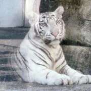 ヒメ日記 2025/09/17 14:05 投稿 なお 人妻倶楽部内緒の関係 春日部店