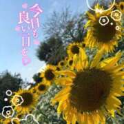 ヒメ日記 2025/08/25 10:52 投稿 あいり 人妻倶楽部内緒の関係 春日部店