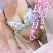 ヒメ日記 2025/09/29 11:55 投稿 あいり 人妻倶楽部内緒の関係 春日部店