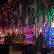 ヒメ日記 2026/03/30 13:19 投稿 涼（りょう） エッチな熟女(熊谷)