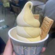 ヒメ日記 2025/06/14 18:01 投稿 松雪 Mrs治療院