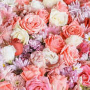 ヒメ日記 2025/05/29 19:51 投稿 とも モアグループ熊谷人妻花壇