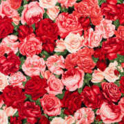 ヒメ日記 2025/06/19 17:17 投稿 とも モアグループ熊谷人妻花壇