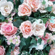 ヒメ日記 2025/10/22 16:59 投稿 とも モアグループ熊谷人妻花壇