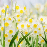 ヒメ日記 2025/11/30 15:16 投稿 とも モアグループ熊谷人妻花壇