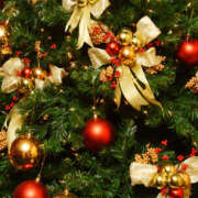 ヒメ日記 2025/12/18 18:52 投稿 とも モアグループ熊谷人妻花壇