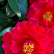 ヒメ日記 2025/12/29 15:06 投稿 とも モアグループ熊谷人妻花壇