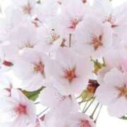 ヒメ日記 2026/03/19 17:27 投稿 とも モアグループ熊谷人妻花壇