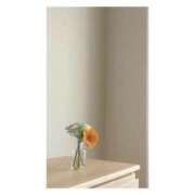 月乃(つきの) ご予約のお礼 グランドオペラ横浜