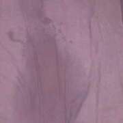 ヒメ日記 2025/09/04 20:15 投稿 【心咲】みさ ドMな団地妻 名古屋・池下店