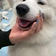 ヒメ日記 2025/09/29 18:30 投稿 【心咲】みさ ドMな団地妻 名古屋・池下店