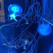 ヒメ日記 2025/10/14 18:08 投稿 【心咲】みさ ドMな団地妻 名古屋・池下店