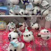 ヒメ日記 2025/12/18 12:45 投稿 【心咲】みさ ドMな団地妻 名古屋・池下店