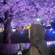 ヒメ日記 2026/04/10 22:48 投稿 【心咲】みさ ドMな団地妻 名古屋・池下店