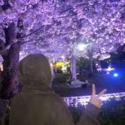 ヒメ日記 2026/04/12 14:50 投稿 【心咲】みさ ドMな団地妻 名古屋・池下店