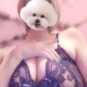 ヒメ日記 2025/03/18 14:02 投稿 れお ドMな団地妻 名古屋・池下店