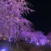 ヒメ日記 2025/04/04 12:35 投稿 りお ドMな団地妻 名古屋・池下店