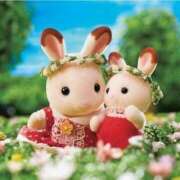 ヒメ日記 2025/05/15 15:15 投稿 りお ドMな団地妻 名古屋・池下店