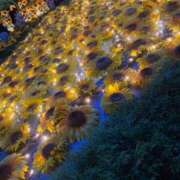 ヒメ日記 2025/07/09 03:12 投稿 りお ドMな団地妻 名古屋・池下店