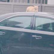 ヒメ日記 2026/04/13 15:15 投稿 みかん ドMな団地妻 名古屋・池下店