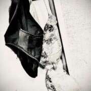 ヒメ日記 2025/03/25 20:46 投稿 やなぎ マーガレット